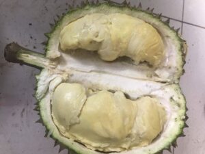 Sầu Riêng Ruột Trắng Có Ngon Không? Mua Ở Đâu Tốt