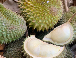 Sầu Riêng Ổi Là Gì? Đặc Điểm & Nguồn Gốc