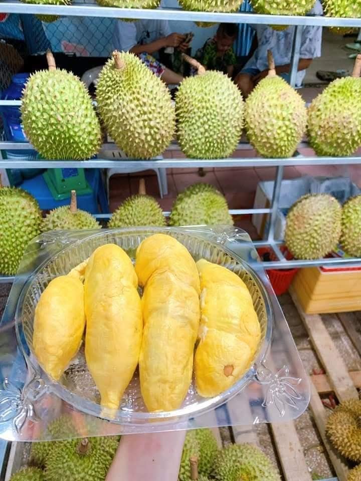 Sầu riêng Ri6 - Tự hào của Việt Nam