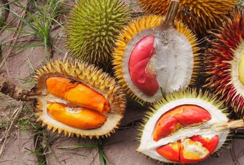 Sầu riêng ruột cam