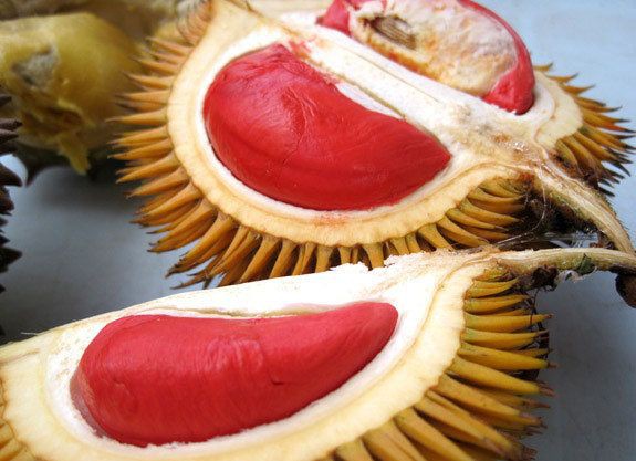 Các đặc trưng riêng của sầu riêng theo từng màu ruột