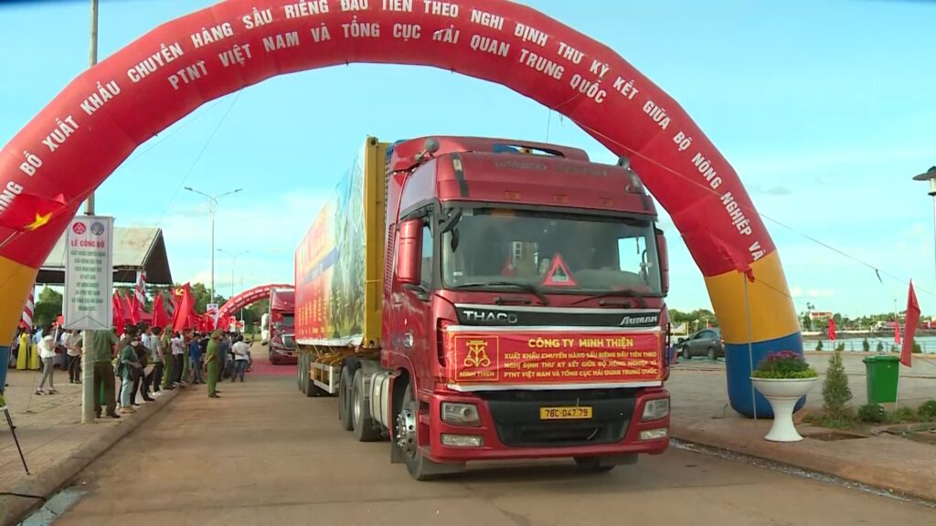 Hướng Dẫn Xuất Khẩu Sầu Riêng Sang Trung Quốc Chính Ngạch
