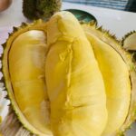 Lý Giải Tại Sao Sầu Riêng Lại Đắt