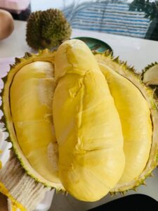 Lý Giải Tại Sao Sầu Riêng Lại Đắt