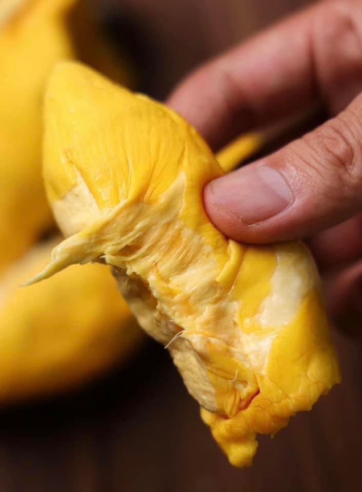 Sầu riêng Musang King là gì? Điều gì làm nên thương hiệu?