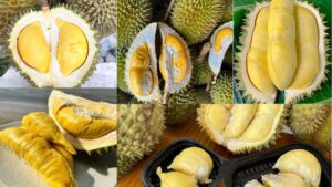 Top 5 Loại Sầu Riêng Thái Lan Ngon Nhất Hiện Nay