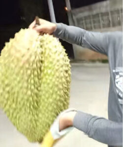 Sầu Riêng Khổng Lồ Nặng Nhất Hiện Nay Bao Nhiêu Kg?