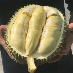 Vì sao sầu riêng bị đắng? Nguyên nhân và cách chọn sầu ngon