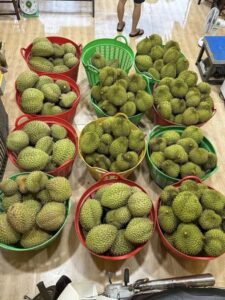 5+ Loại Sầu Riêng Bến Tre Thơm Ngon Nức Lòng Thực Khách
