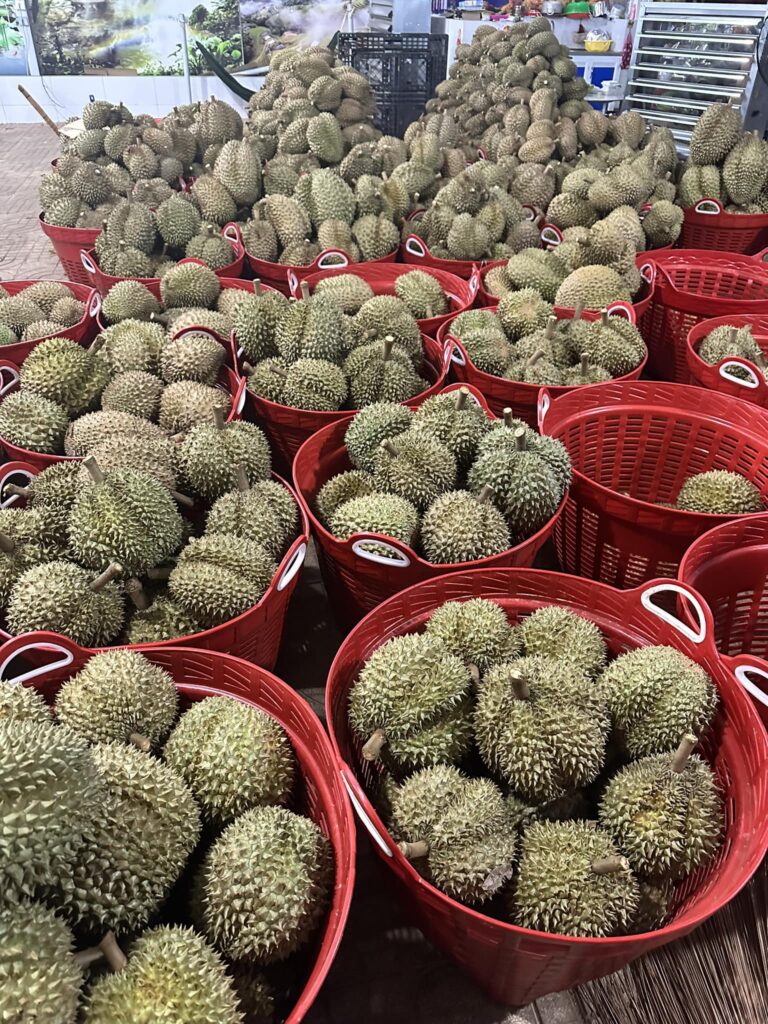 Vựa sầu riêng Đức Huệ