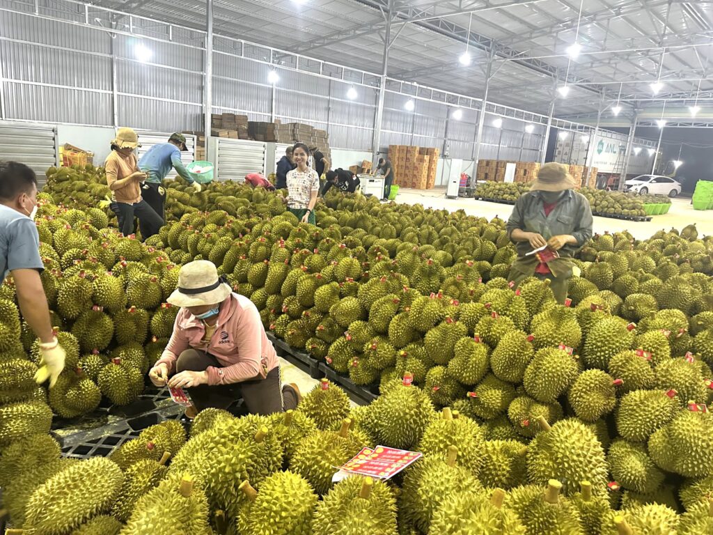 Lâm Đồng